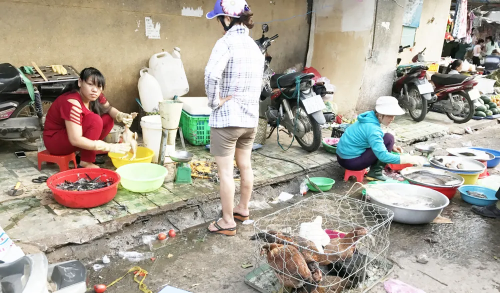 Từ vụ 3.750 con heo bị tiêm thuốc an thần, kiểm tra tất cả lò giết mổ ảnh 1