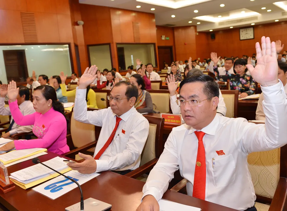 HĐND TPHCM triển khai nghị quyết về cơ chế, chính sách đặc thù ảnh 4