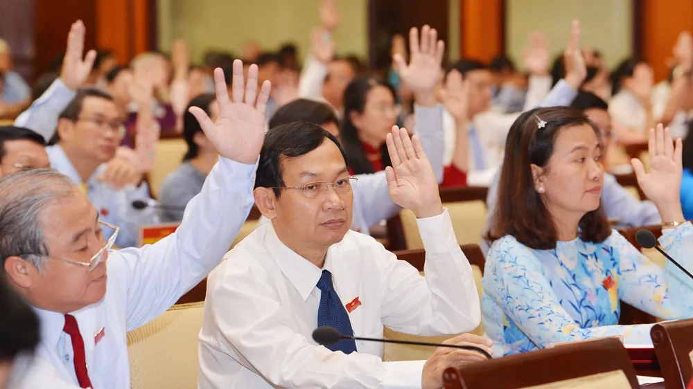 Kỳ họp thứ 9 HĐND TPHCM khóa IX: Xem xét hiệu quả quản lý đất công ảnh 3