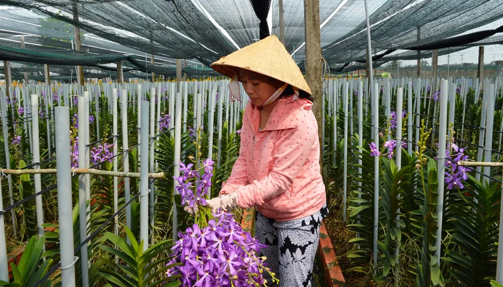 TPHCM công bố 10 sự kiện nổi bật trong năm 2018 ảnh 2