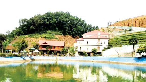  Vì sao trong một ngày có tới 6 quyết định ký chuyển đổi đất khu “biệt phủ” tại Yên Bái? ảnh 1