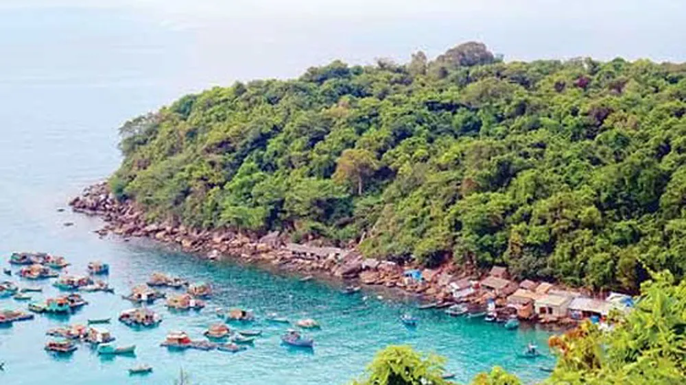 Đề xuất xử lý ngay bất cập trong quy định về lương giáo viên và báo cáo đánh giá tác động môi trường ảnh 1