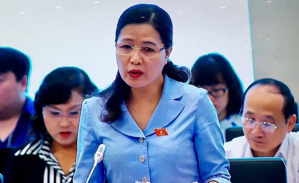 Có cần Ban tư vấn hỗ trợ phát triển đặc khu không? ảnh 1