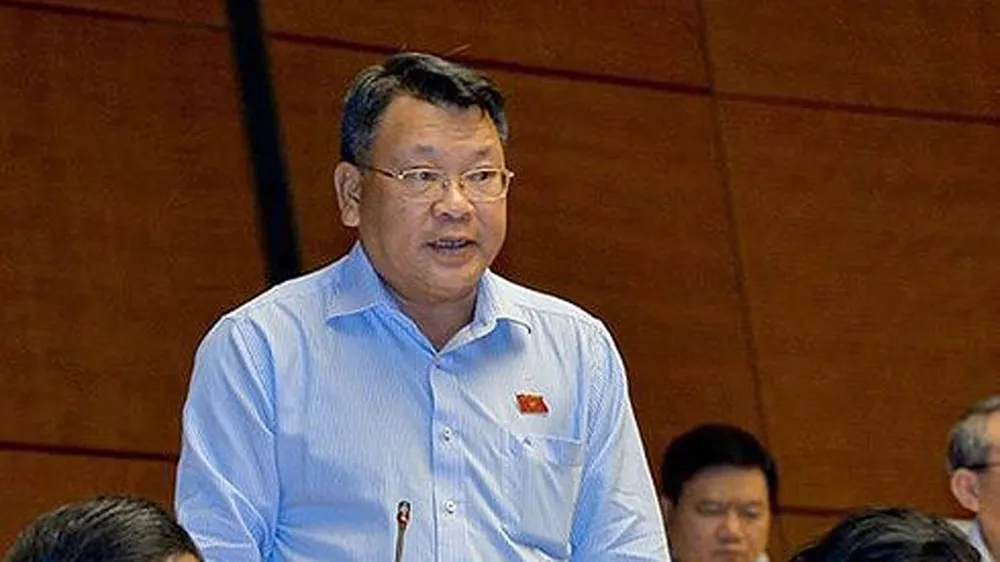 ĐBQH: "Thời bình rồi, sao nhiều tướng đến thế!" ảnh 2