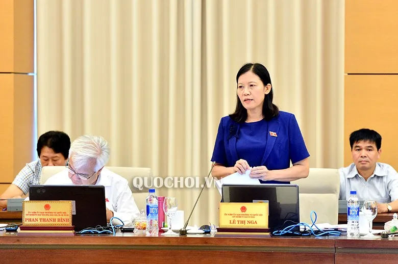 Thêm phương án mới về xử lý tài sản, thu nhập tăng thêm không giải trình hợp lý ảnh 1