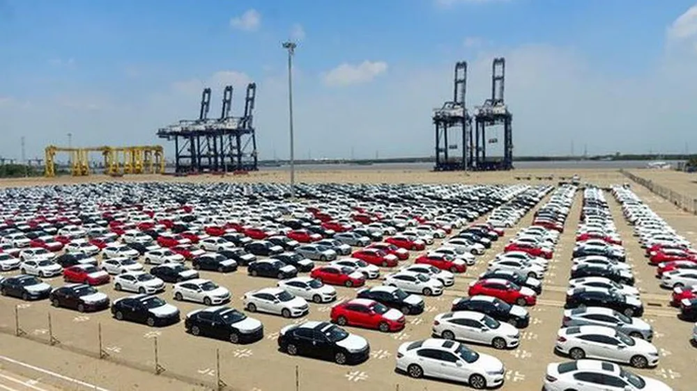 Văn bản mới có hiệu lực từ tháng 5-2019 ảnh 2