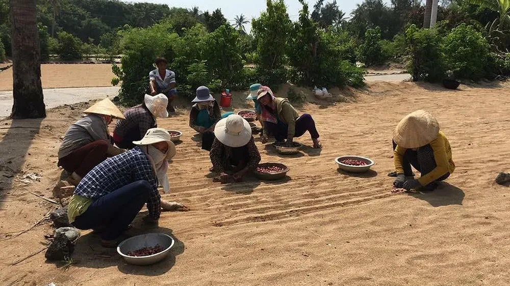 Cử tri đề nghị mạnh tay hơn nữa trong đấu tranh chống tham nhũng ảnh 1