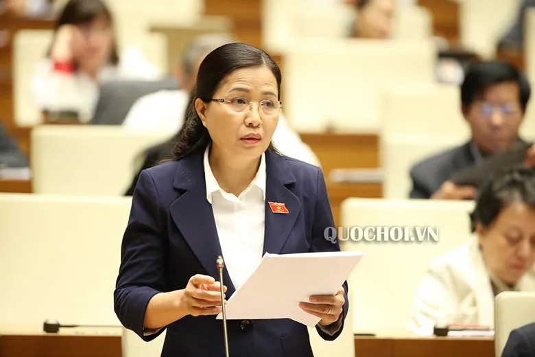 Công bố 5 Nghị quyết của Ủy ban Thường vụ Quốc hội  ​ ảnh 1