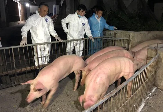 Bộ trưởng Bộ Nông nghiệp và Phát triển nông thôn: “Không nên cứ tập trung ăn thịt heo” ảnh 1