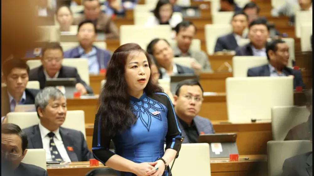 Quốc hội đã thể hiện rất rõ tính dân chủ qua những đổi mới trong hoạt động bầu cử, giám sát, xây dựng pháp luật ảnh 2