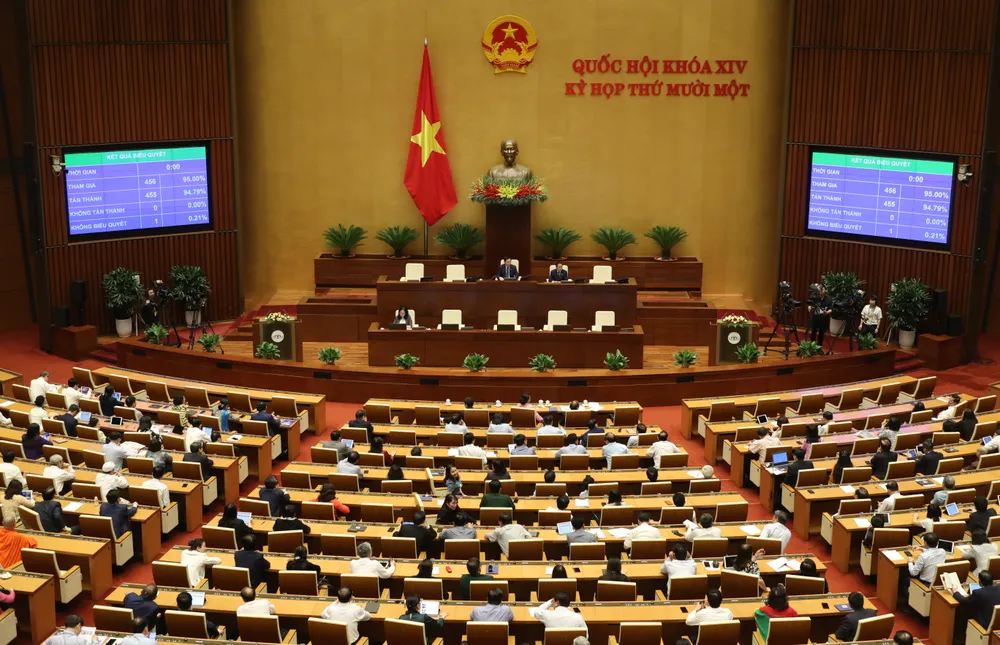 Quốc hội phê chuẩn Nghị quyết về 3 Phó Chủ tịch Quốc hội mới ảnh 3