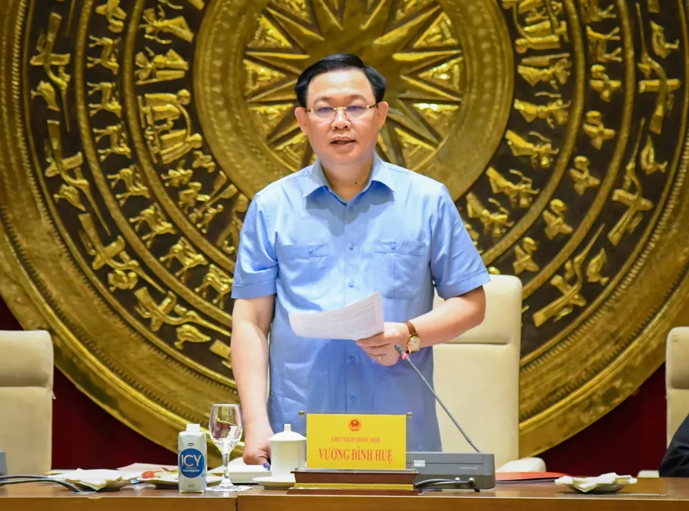 Chủ tịch Quốc hội Vương Đình Huệ làm việc với Hội đồng Dân tộc ảnh 2