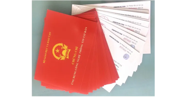 Tất cả các ngạch công chức chuyên ngành hành chính và văn thư đã không còn yêu cầu chứng chỉ về trình độ ngoại ngữ và tin học