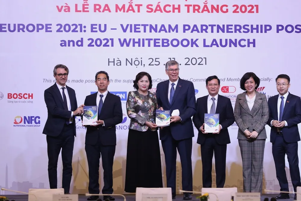 Việt Nam cần phát triển hơn nữa cơ sở hạ tầng đa phương thức ảnh 1