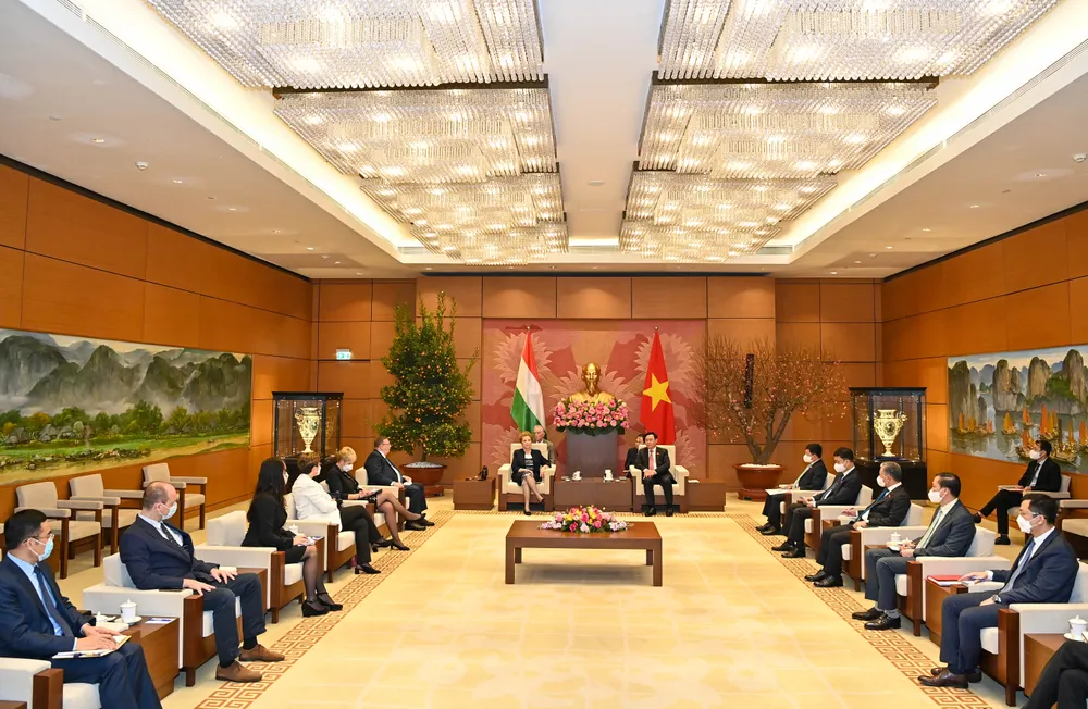 Chủ tịch Quốc hội Vương Đình Huệ tiếp Phó Chủ tịch thứ nhất Quốc hội Hungary Márta Mátrai  ​ ảnh 2