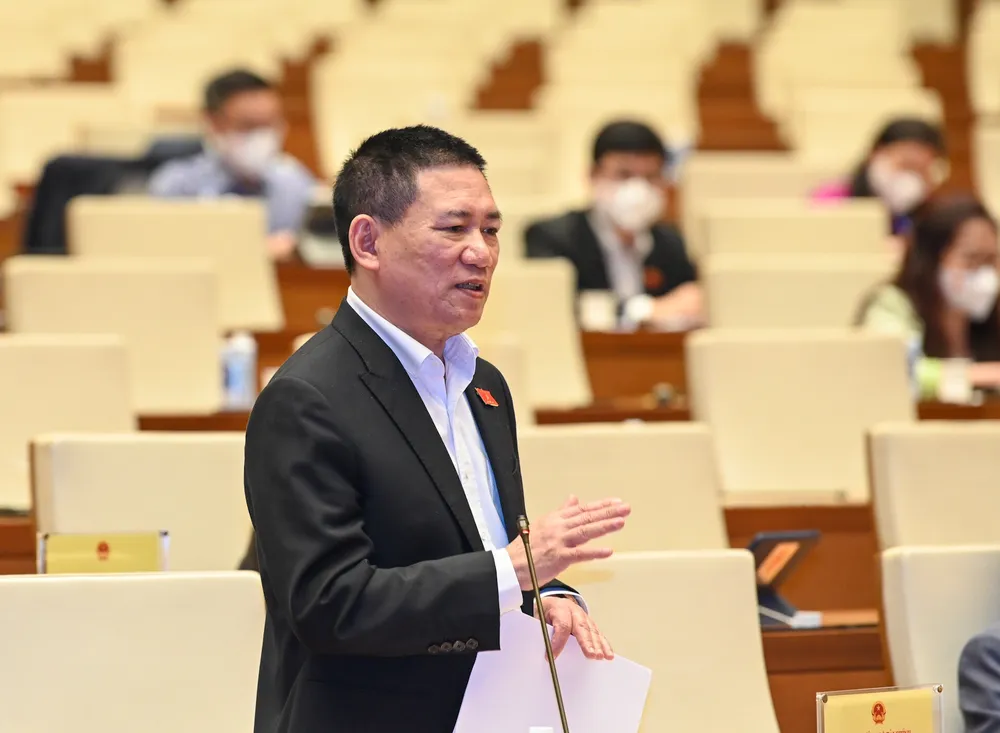 Phải có chế tài kinh tế đủ mạnh để ngăn chặn đấu giá ảo, rút tiền thật ảnh 3