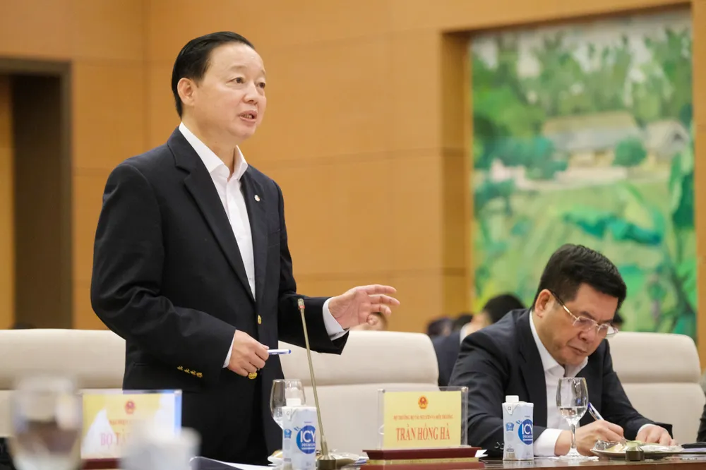 Phải có chế tài kinh tế đủ mạnh để ngăn chặn đấu giá ảo, rút tiền thật ảnh 1