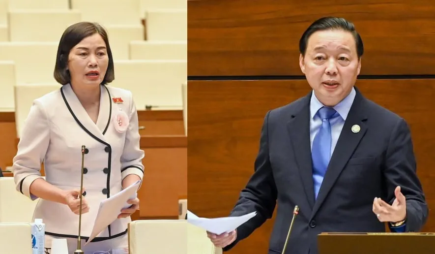 Phải có chế tài kinh tế đủ mạnh để ngăn chặn đấu giá ảo, rút tiền thật ảnh 2