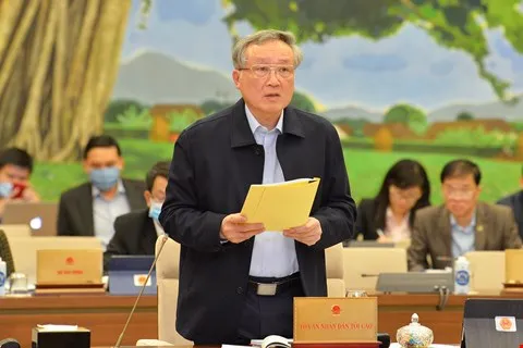 Sẽ xây dựng luật riêng về vấn đề tư pháp đối với trẻ vị thành niên ảnh 1