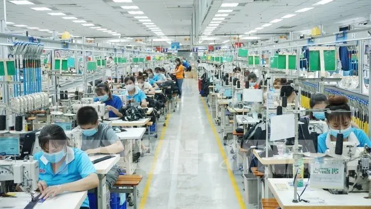 ADB: Kinh tế Việt Nam tăng trưởng 6,5% trong năm nay và 6,7% trong năm 2023  ​  ​ ảnh 1