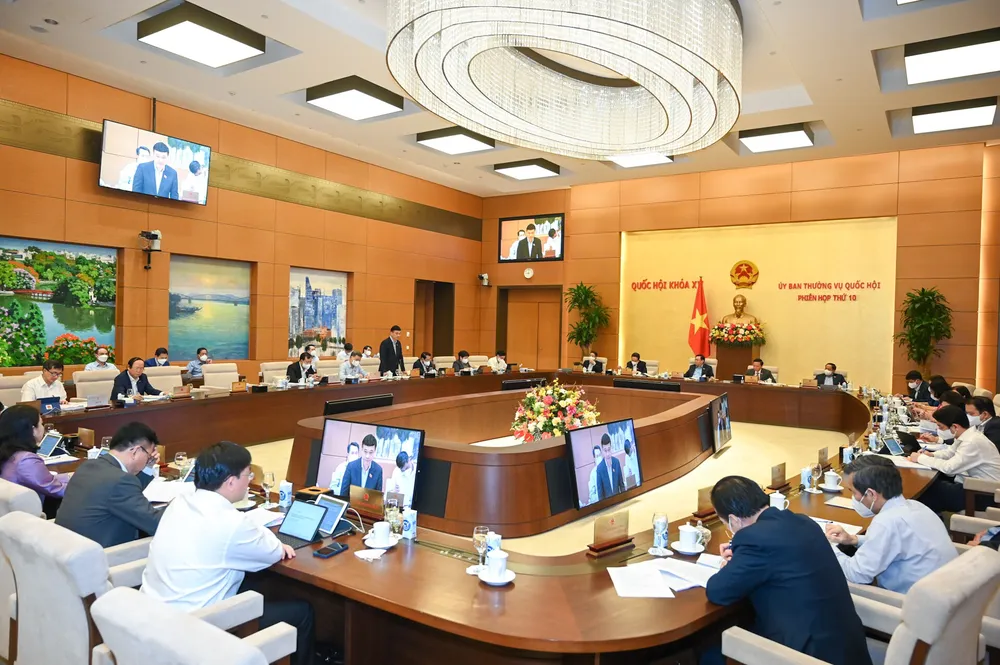 Nhận diện, nghiêm trị hành vi bạo lực gia đình đối với một số nhóm đối tượng đặc thù ảnh 1