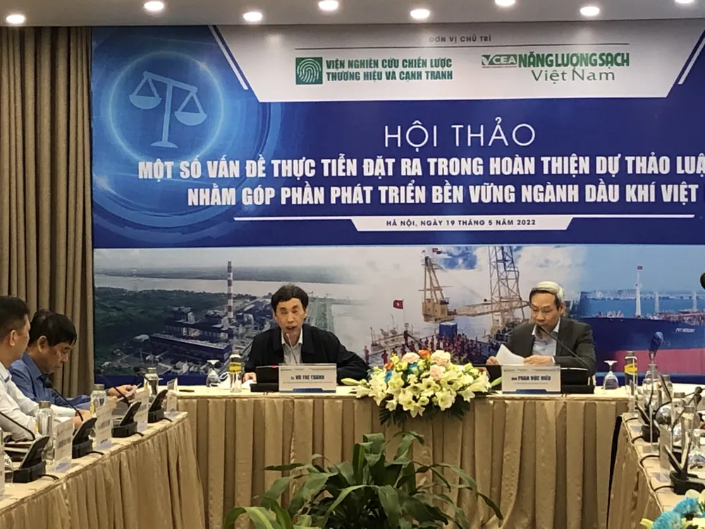 Luật phải rõ, tránh để “thắng mà tốt thì được khen, thắng mà sai đi tù”  ​ ảnh 1