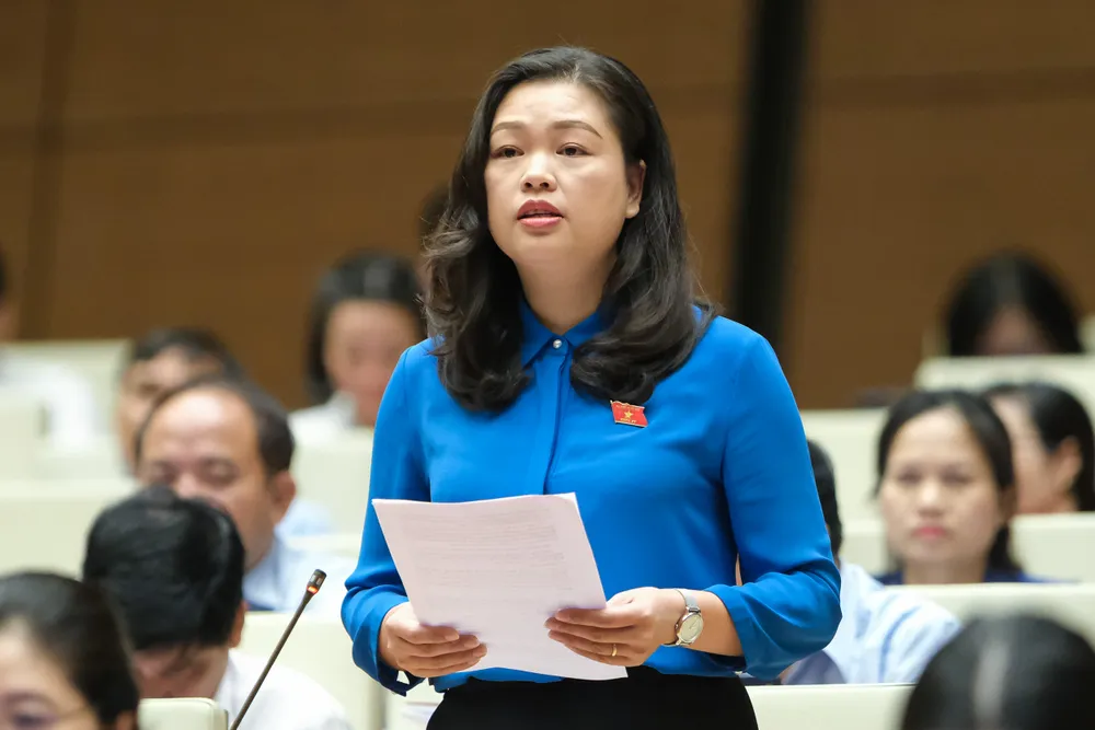 Cần làm rõ nhiều khái niệm để luật dễ thực thi ảnh 2