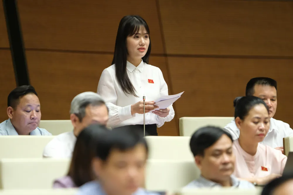 Phòng ngừa bạo lực gia đình phải là nội dung chính  ​ ảnh 3