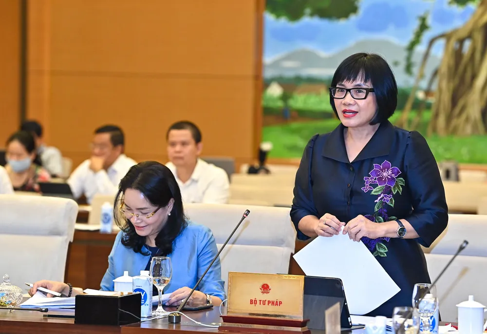 Thứ trưởng Bộ Tư pháp Đặng Hoàng Oanh. Ảnh: VIẾT CHUNG