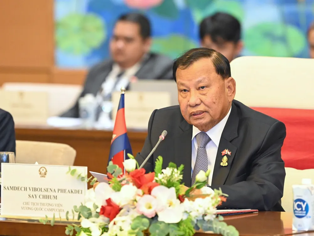 Chủ tịch Quốc hội Vương Đình Huệ hội đàm với Chủ tịch Thượng viện Vương quốc Campuchia Samdech Say Chhum ảnh 3