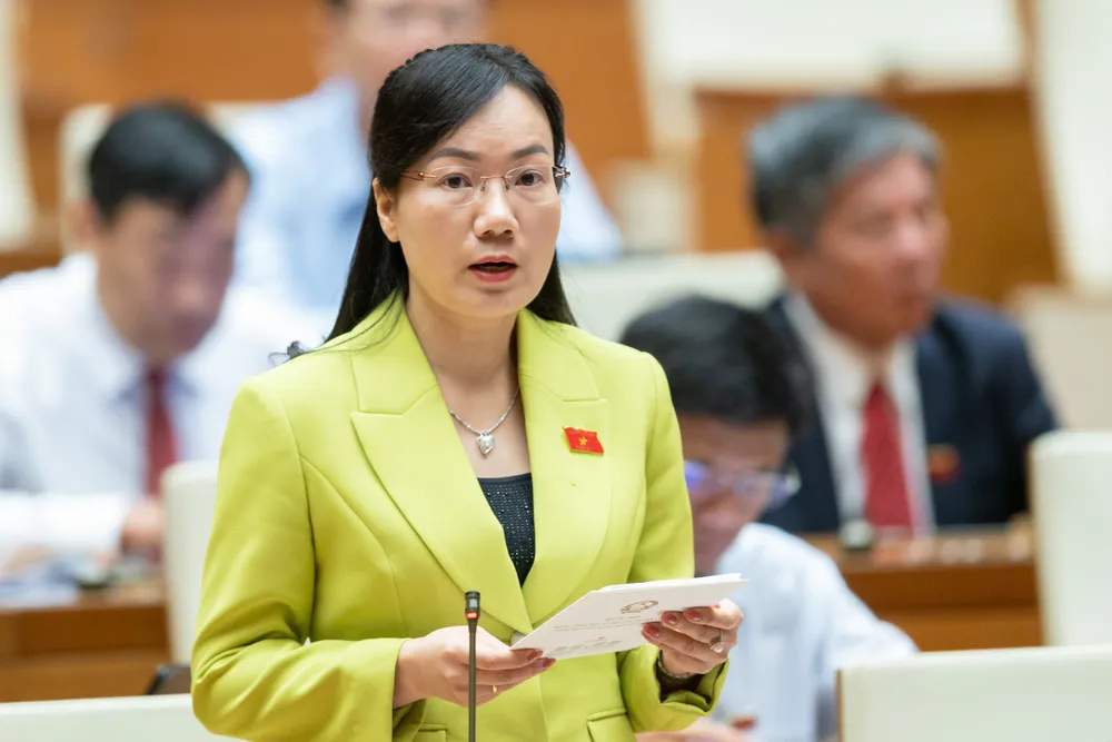 Giám sát chặt dòng tiền trong đấu giá bất động sản ảnh 1