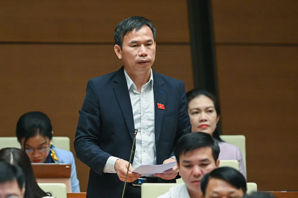 Bộ TT-TT sẽ không “lấn sân” quản lý trên môi trường số ảnh 3