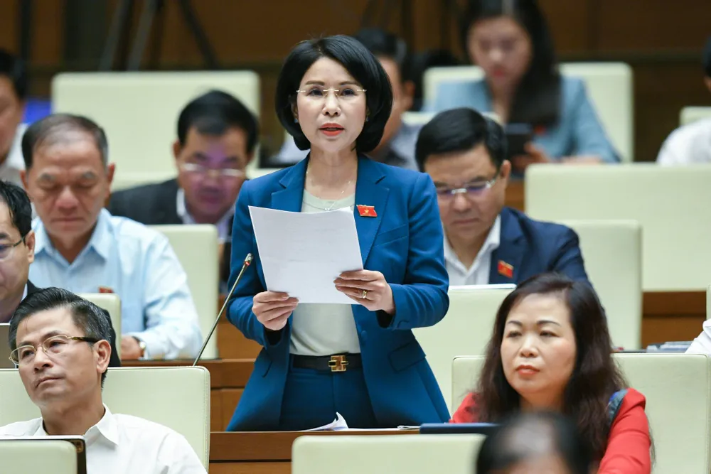 “Có nước nào đấu thầu khổ như chúng ta không?”  ​ ảnh 2