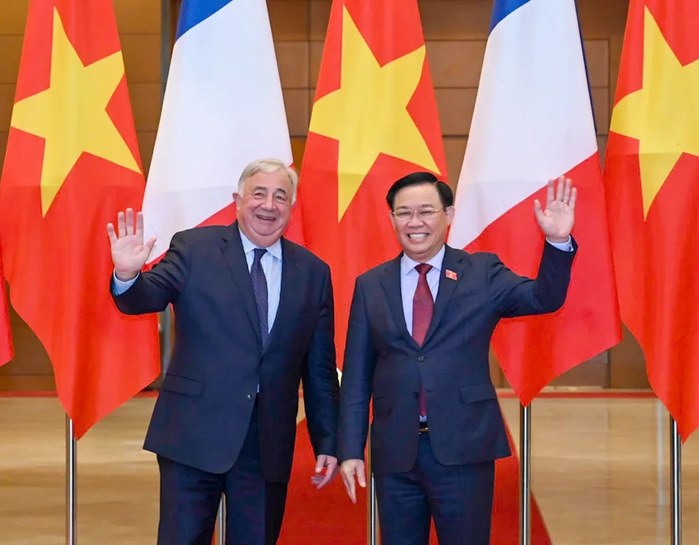 Chủ tịch Quốc hội Vương Đình Huệ hội đàm với Chủ tịch Thượng viện Pháp Gérard Larcher ảnh 2
