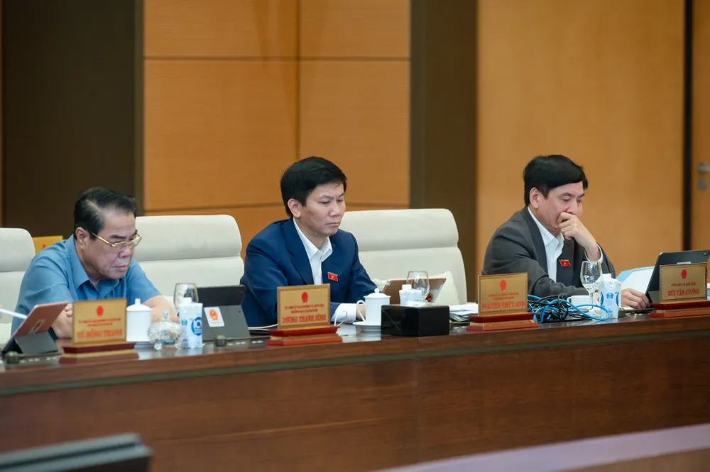 Đại biểu dự họp