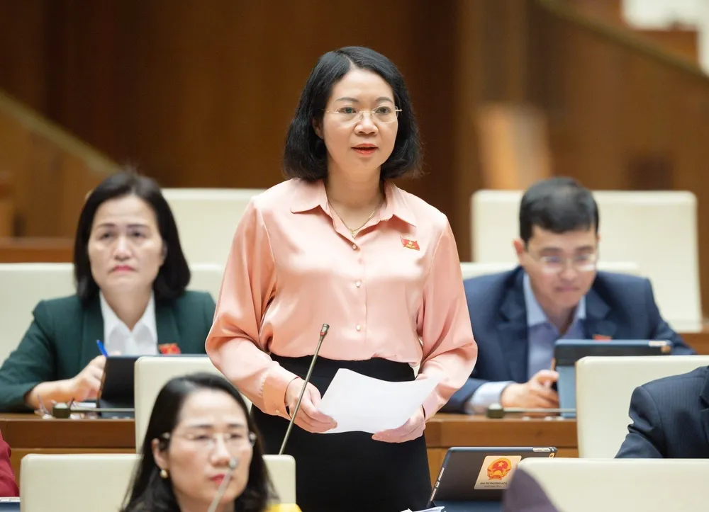 ĐB Mai Thị Phương Hoa (Nam Định) nêu chất vấn