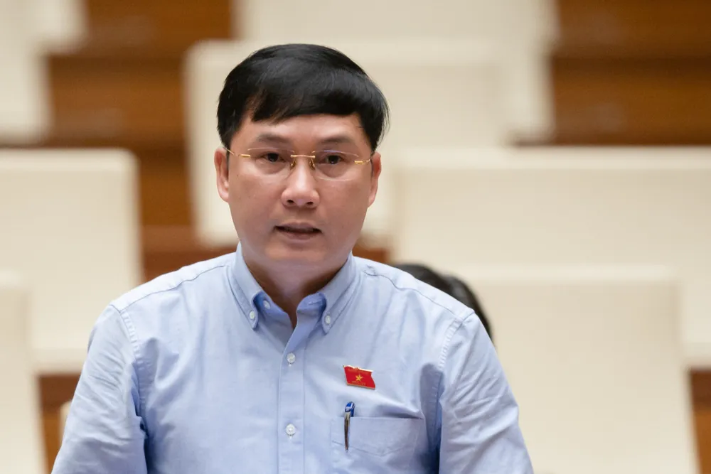 ĐB Lê Hoàng Anh (Gia Lai)