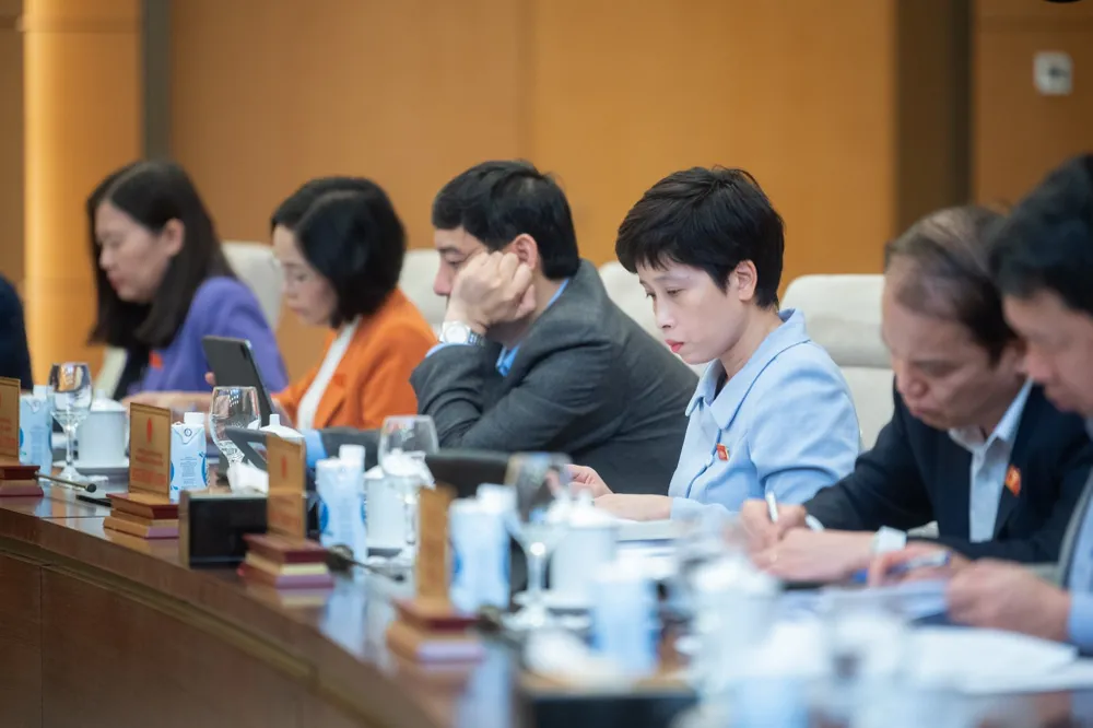 Đại biểu dự họp