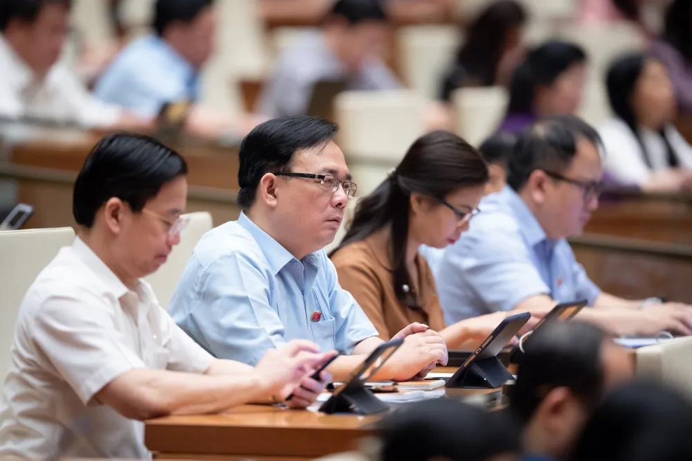 Đại biểu dự họp