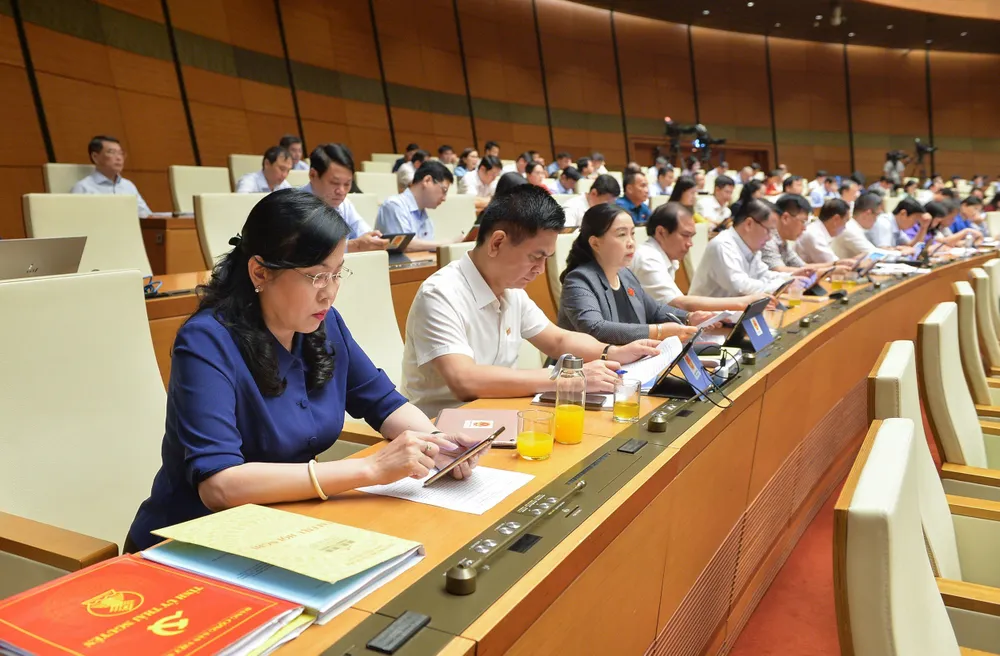 Đại biểu dự họp