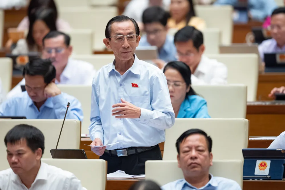 ĐB Trần Hoàng Ngân (TPHCM)