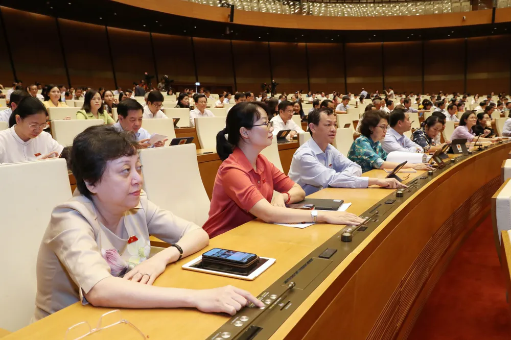 ĐBQH TPHCM bấm nút thông qua Luật