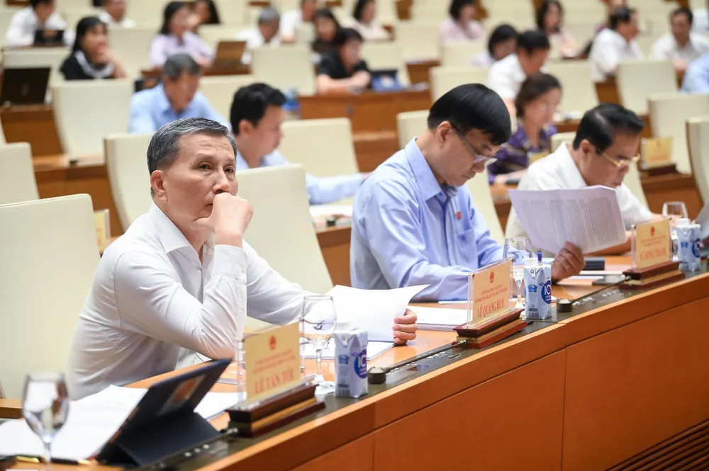 Đại biểu tham dự phiên chất vấn