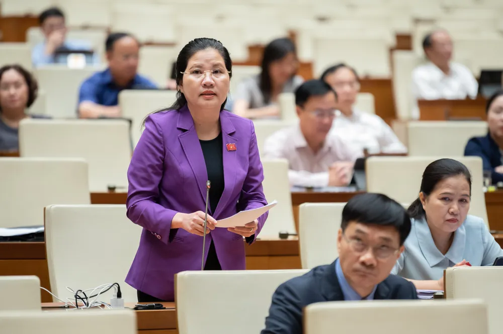 ĐB Đinh Thị Phương Lan (tỉnh Quảng Ngãi)