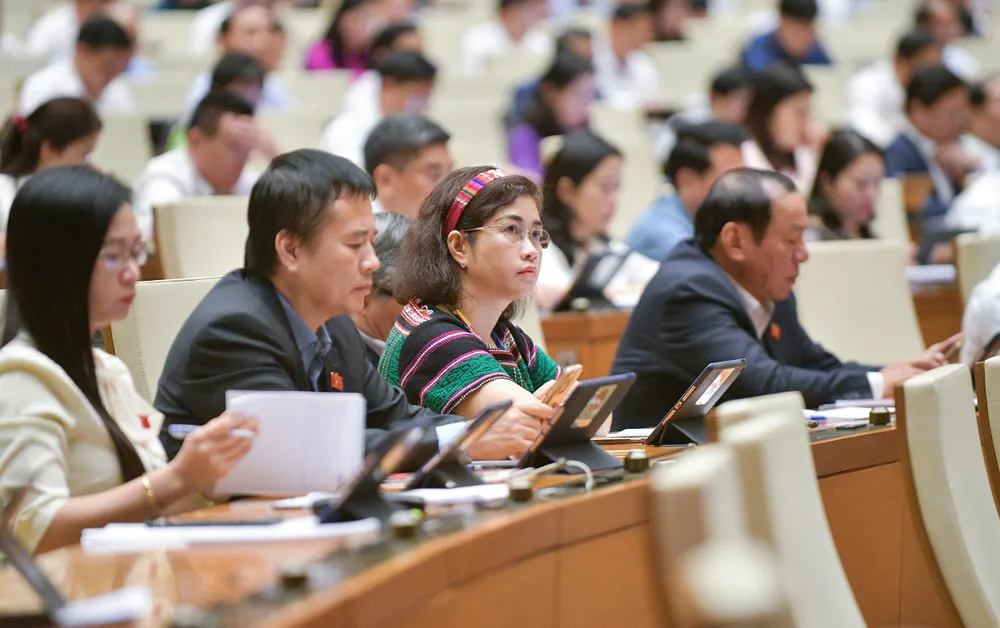 Đại biểu dự họp