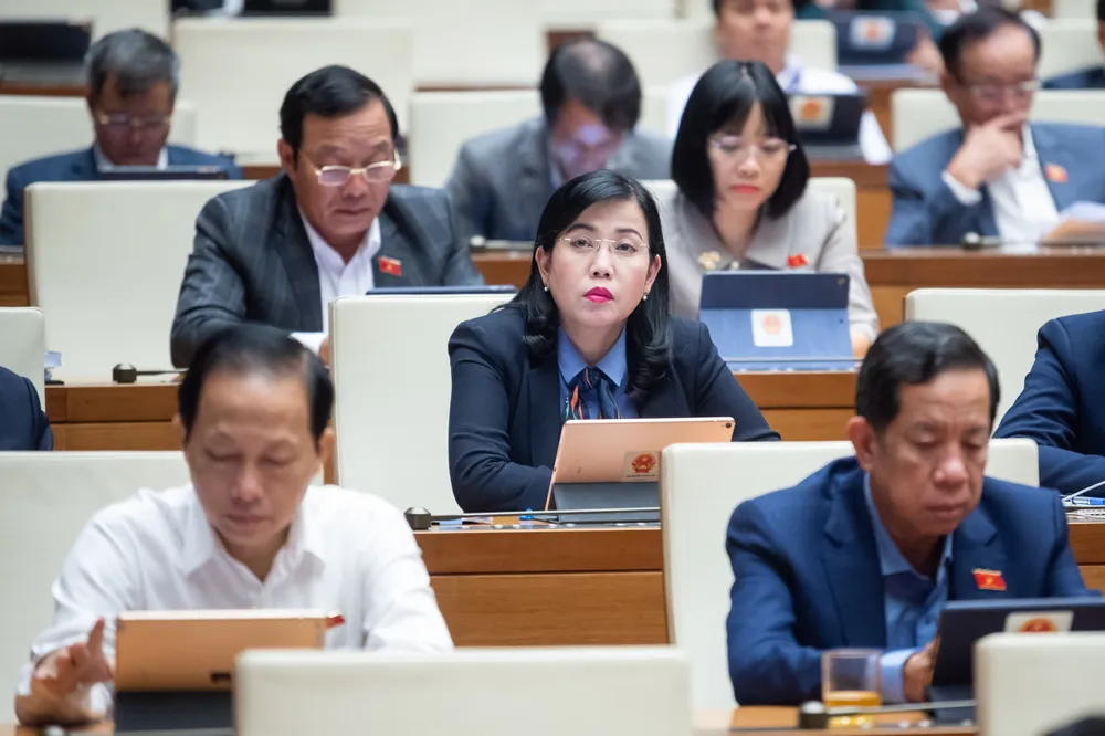 Các đại biểu dự họp