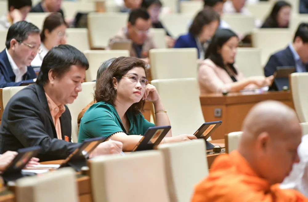 Đại biểu dự họp