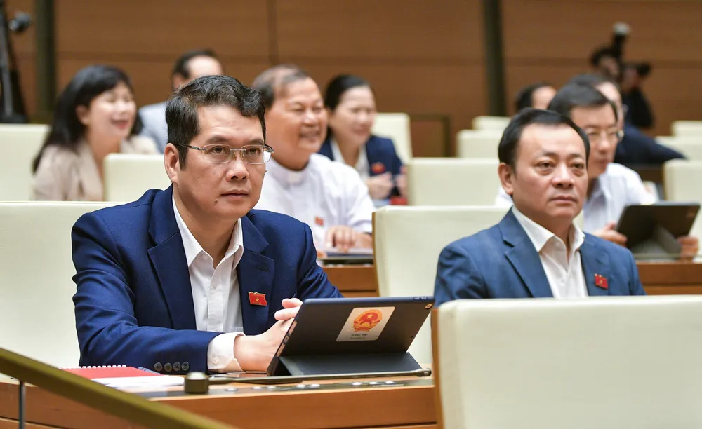 Đại biểu Quốc hội dự họp