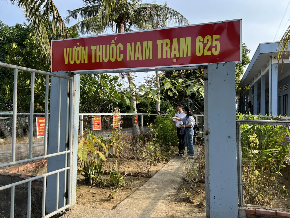 vuon-thuoc-nam-tram-625-2351.jpeg