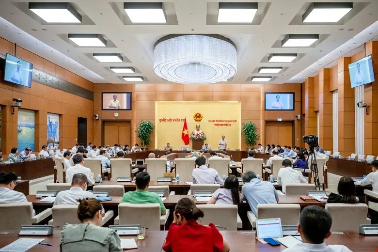 QUANG CẢNH SÁNG 15.jpeg